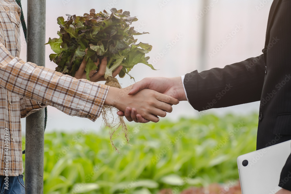 AdobeStock_417051719_Preview