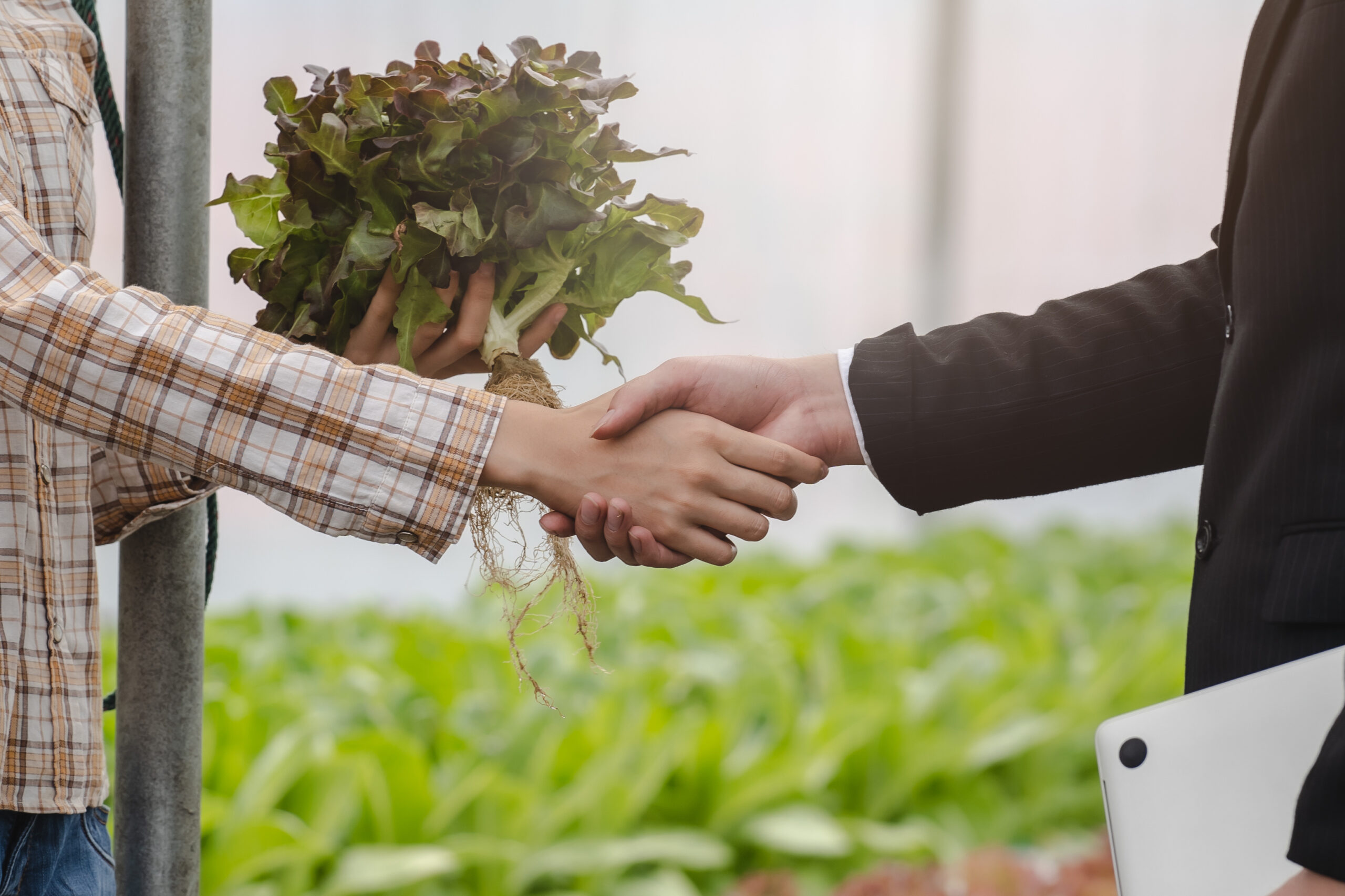 small business farm owner agree sell produce to local food market